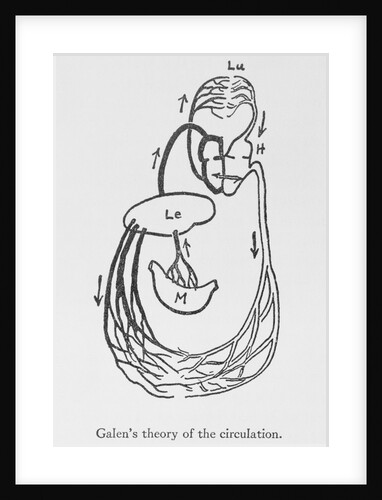 Galen's Theory of the Circulation Drawing by Anonymous