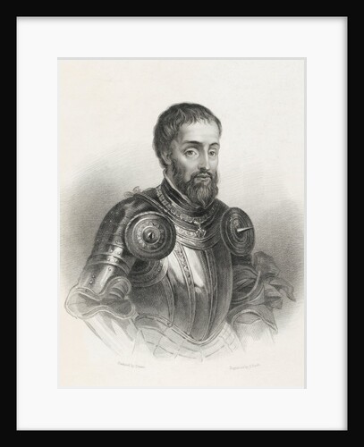 Portrait of Ferdinand I by Anonymous