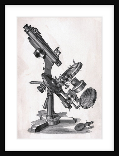 Early Microscope by Anonymous