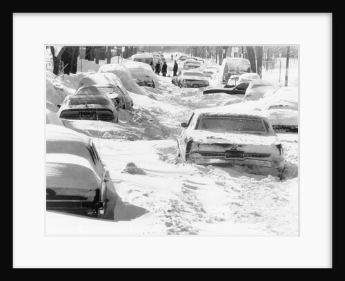 Cars Buried in Snowy Street by Anonymous