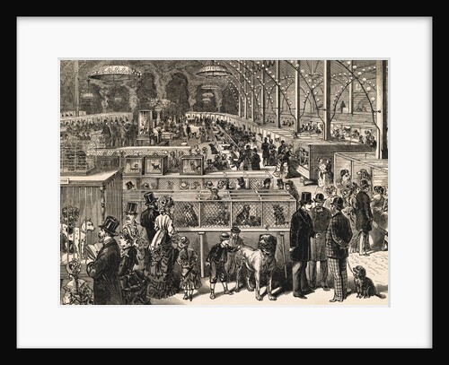 Victorian Dog Show by Anonymous