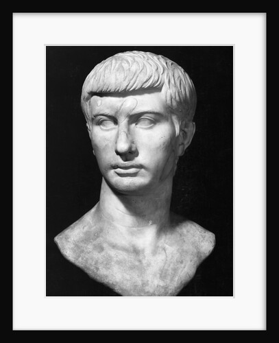Bust of Brutus by Anonymous