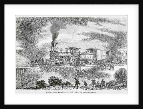 Hoard of Grasshoppers Flying Towards Train by Anonymous