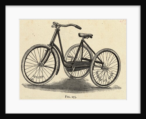 Illustration of a Ladies Tricycle by Anonymous