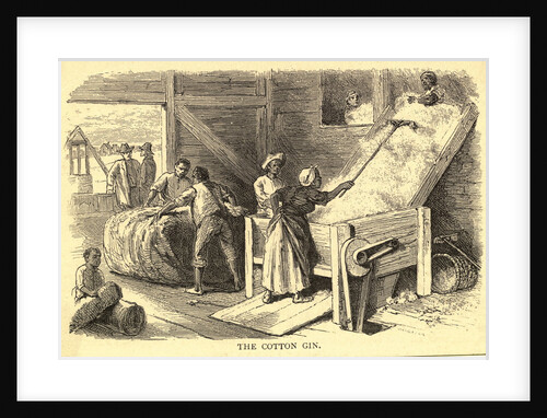 Early Illustration of the Cotton Gin by Anonymous
