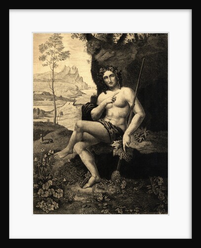 Illustrated Portrait of Bacchus by Anonymous
