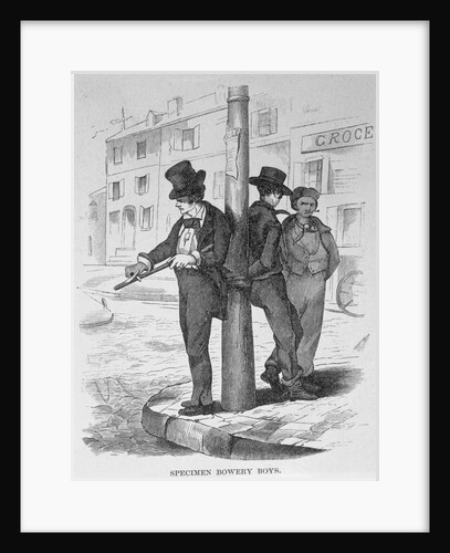Specimen Bowery Boys Engraving by Anonymous