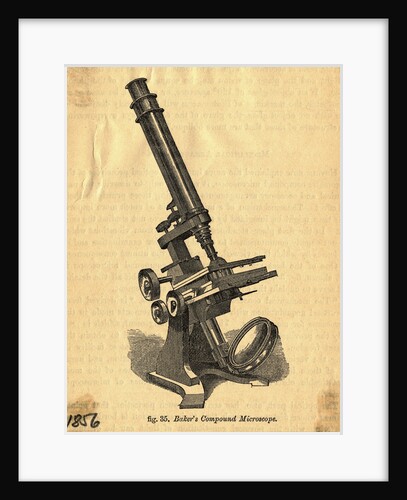 Baker's Compound Microscope by Anonymous