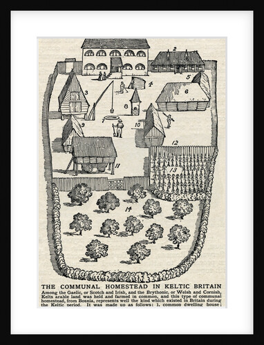 Diagram of Communal Homestead by Anonymous