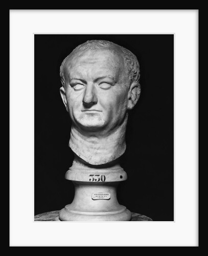 Bust of Vespasian by Anonymous