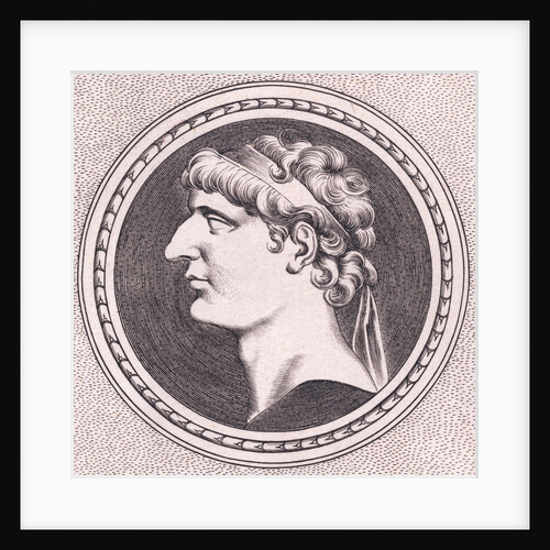 Profile of Seleucus I Nicator by Anonymous