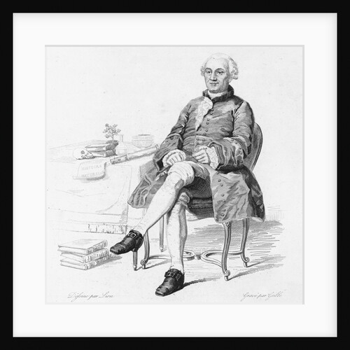Portrait of Georges-Louis Leclerc Comte de Buffon by Anonymous