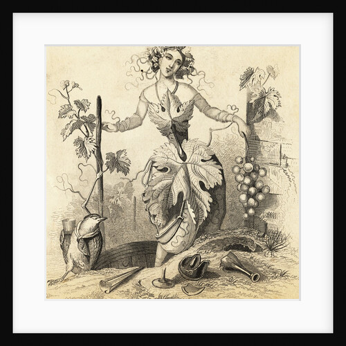 Woman Representing Grape Vine and Wine Making by Anonymous