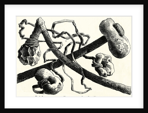The Early Flint Weapons by Anonymous