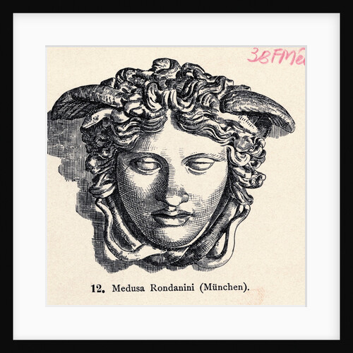 Illustration of Head of Medusa by Anonymous