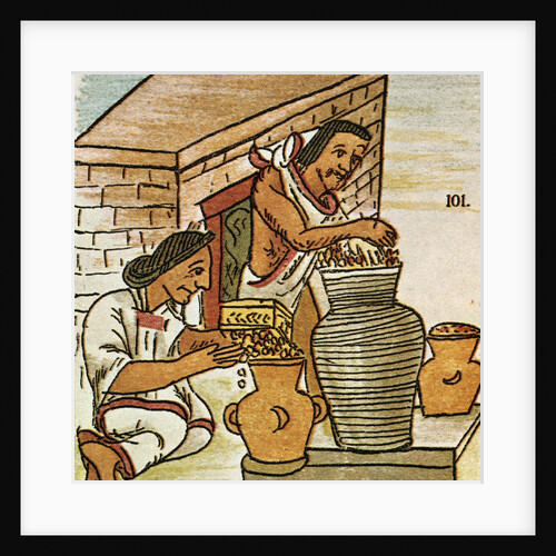 Illustration of Aztecs Storing Amaranth from the Florentine Codex by Anonymous