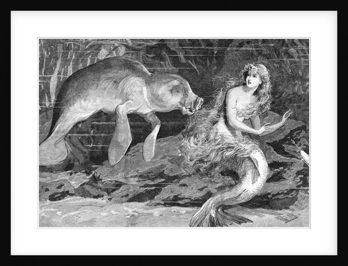 Illustration of Meeting Between Manatee and Mermaid by Anonymous