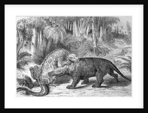Illustration of Dinosaurs Fighting by Anonymous