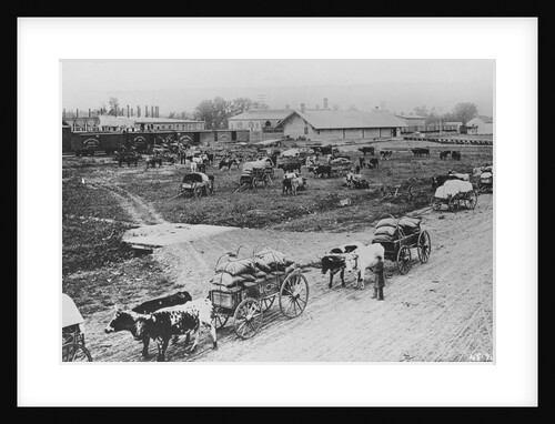 Homesteaders Getting Supplies by Anonymous