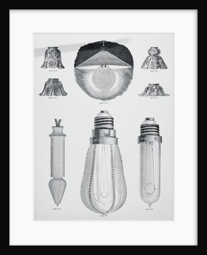 Light Bulbs on Display by Anonymous