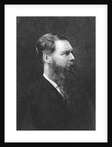 Portrait of Sir Edward Burnet Tylor by Anonymous