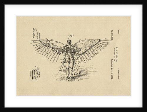 Diagram of Winged Flying Machine by Anonymous