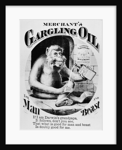 Advertisement for Merchant's Gargling Oil by Anonymous