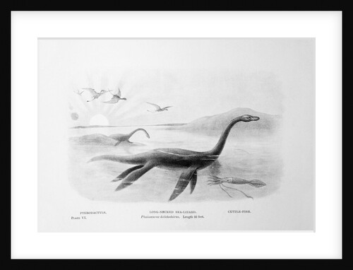 Long-Necked Sea Lizard by Anonymous