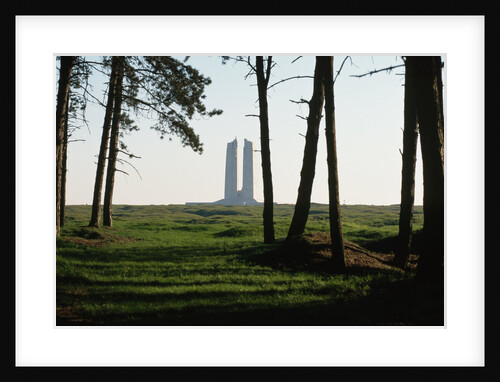 Grove of Trees at Vimy Memorial by Anonymous