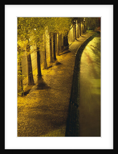 Trees Along the Seine River at Night by Anonymous