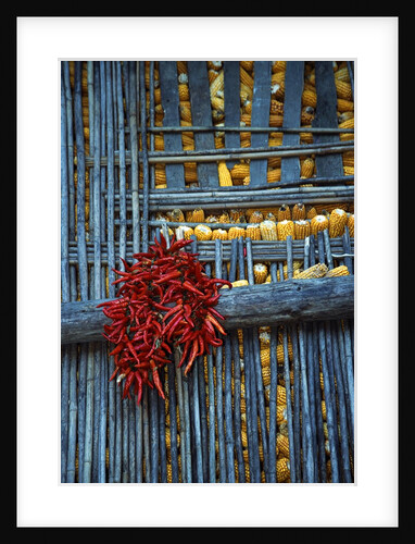 Chili Peppers and Corn Drying by Anonymous