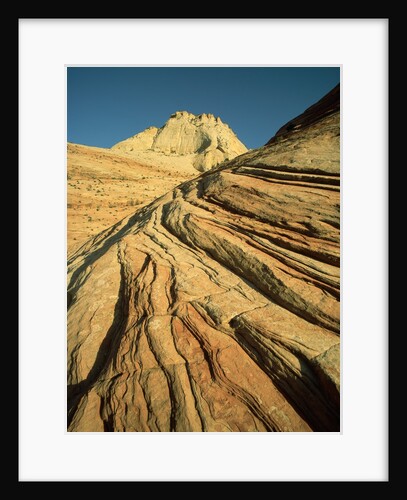 Cross-Bedded Sandstone in Zion National Park by Anonymous