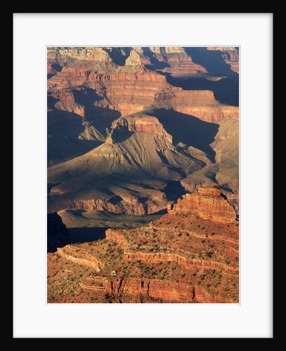 O'Neil Butte in the Grand Canyon by Anonymous