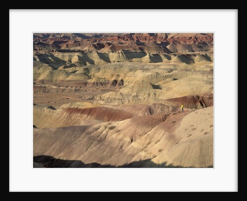 Hiker in the Badlands by Anonymous