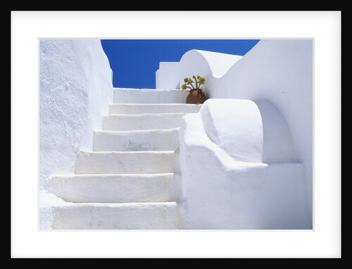 Potted Flowers On Staircase by Anonymous