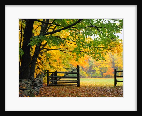 Fall Foliage Surrounds an Open Gate by Anonymous