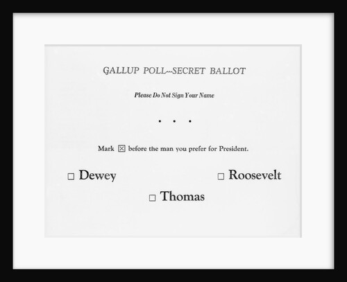 View of Secret Ballot by Anonymous