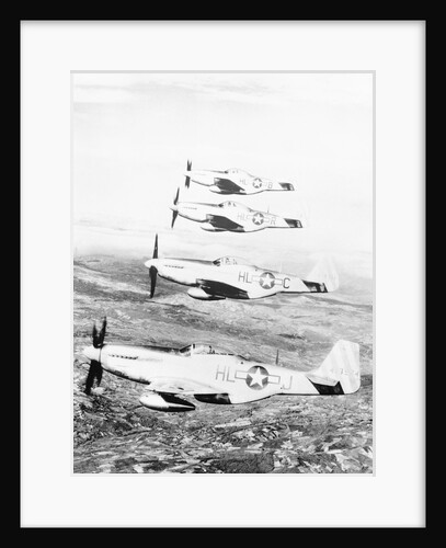 Airplane in Flight over Land by Anonymous