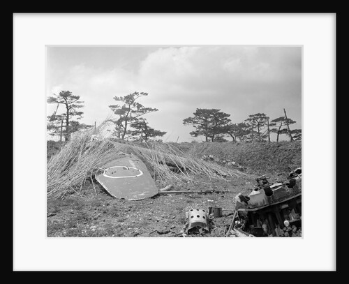 Mock Japanese Military Airplane Partially Hidden Under Brush by Anonymous