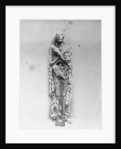 The Mummy of King Ramses by Anonymous
