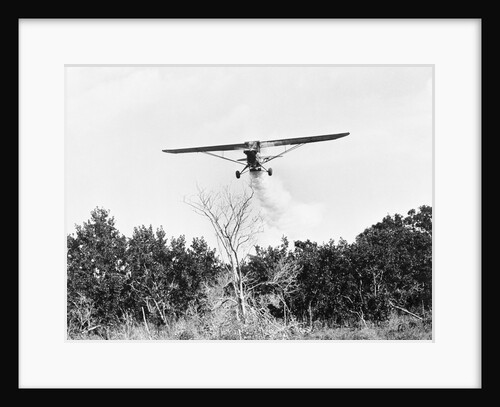 Airplane Dropping Cloud of Mosquito Insecticide by Anonymous