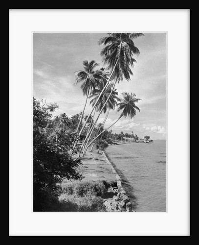 Singapore Waterfront by Anonymous