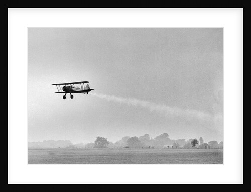 Plane Taking Off for DDT Dispersal Flight by Anonymous
