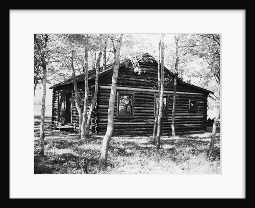 Exterior View of a Log Cabin by Anonymous