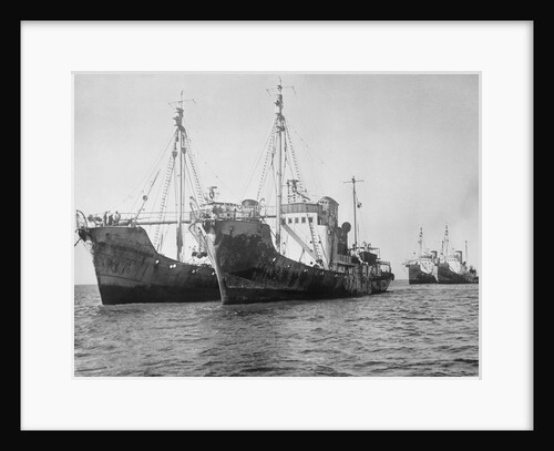 Onassis Whalers Seized by Anonymous