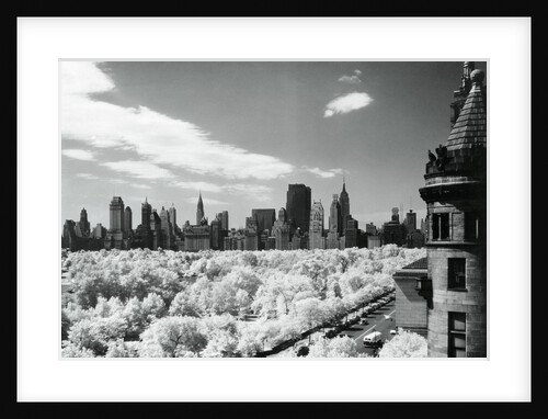 View of Central Park, New York City, New York State, USA by Anonymous