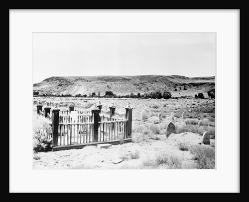 Cemetery at National Park by Anonymous