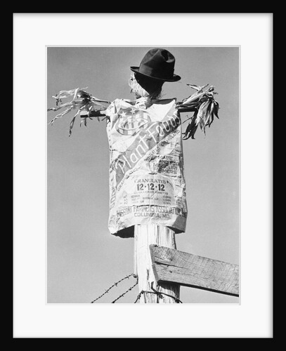 Scarecrow by Anonymous