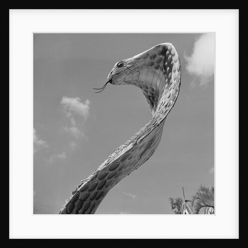 Giant Replica of King Cobra by Anonymous