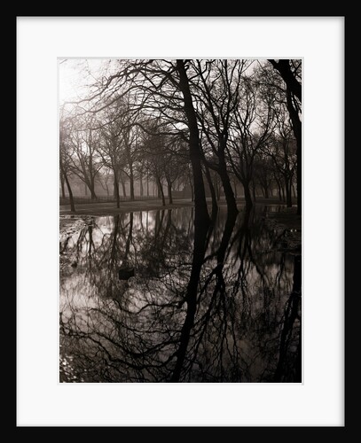 Water Reflecting the Trees of Victoria Park by Anonymous